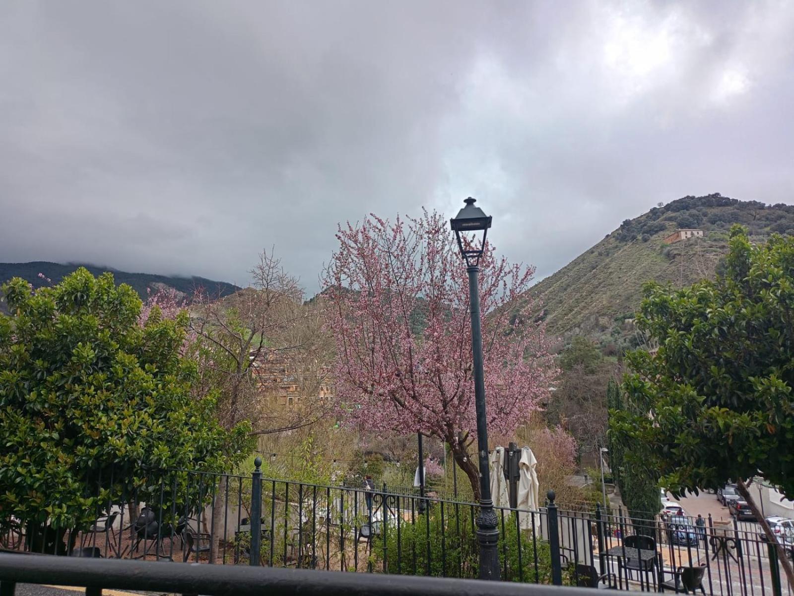 Reyes Daire Monachil Dış mekan fotoğraf